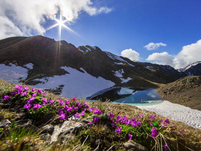 Bild 12 aus  Innerharmerhof