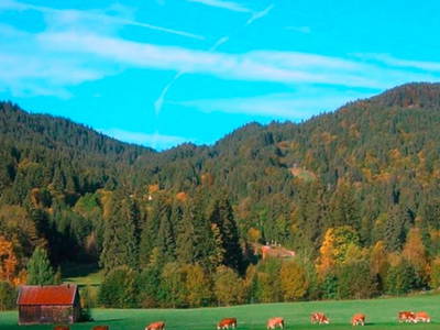 Bild 11 aus  Zoberbauer