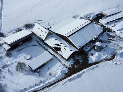 Bild 27 aus  Bauernhof Härtel