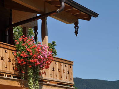 Bild 5 aus  Bergerhöh Suiten