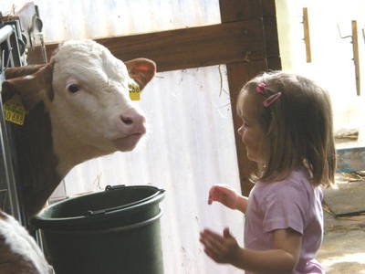 Bild 15 aus  Barmbichlhof