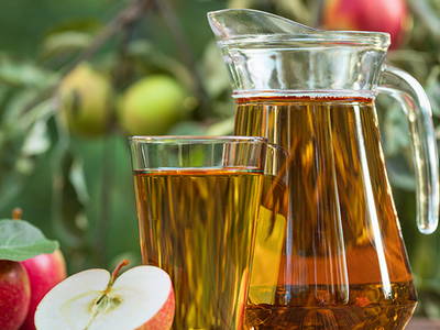 Bild 7 aus  Hofgut Willburger