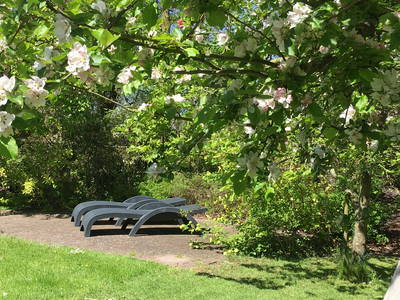 Gartenliegen unter Obstbäumen.