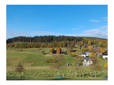 Bild 17 aus  Ferienwohnung Flender