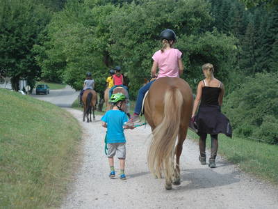 Bild 10 aus  Landeckhof