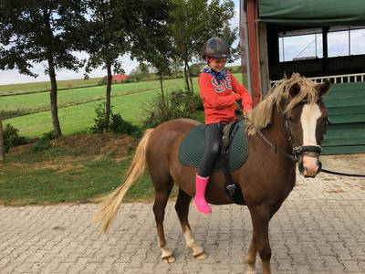 Bild 35 aus  Küstenhof Oldewurtel