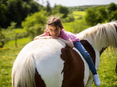 Bild 71 aus  LandSelection Ferienhof Zur Hasenkammer