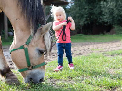 Bild 29 aus  Familienhof Brüning