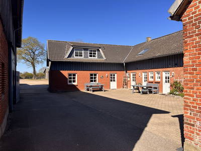 Bild 4 aus  Ferienhof Sell Bauernhofurlaub Ostsee Ponys