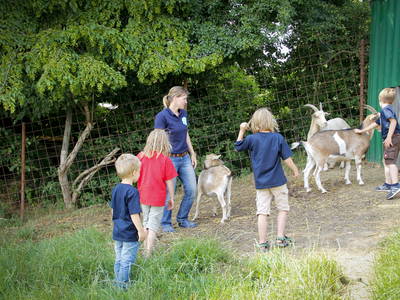 Bild 15 aus  Ferienhof Gröne