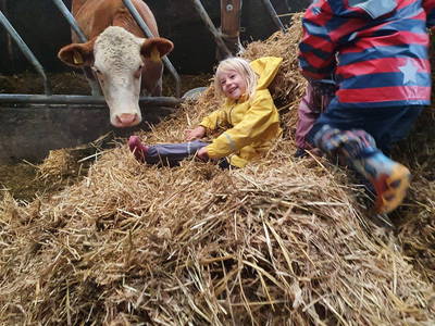 Bild 32 aus  Bauernhofpension Bals