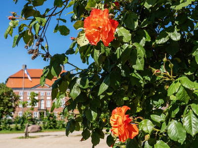 Bild 6 aus  Gut Ludwigsburg