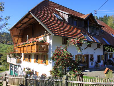 Bild 27 aus  Ferienhof Oberer Strickerhof