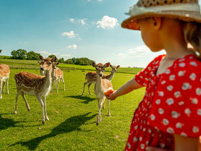 Bild 41 aus  LandSelection Grieshof