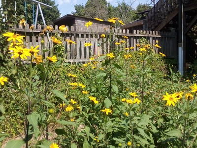 Bild 23 aus  Steinäckerhof