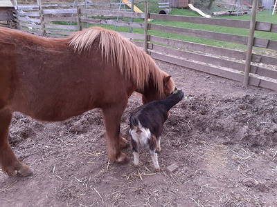 Bild 5 aus  Weberhof