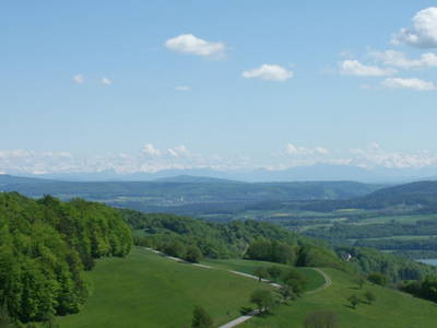 Bild 18 aus  Martiburhof - Ferien auf dem Bauernhof