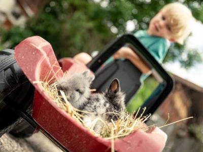 Bild 15 aus  Lärchhof