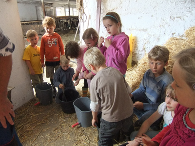 Bild 4 aus  Ferienhof Käsrah