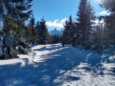 Bild 16 aus  Familienferienhof Kroner