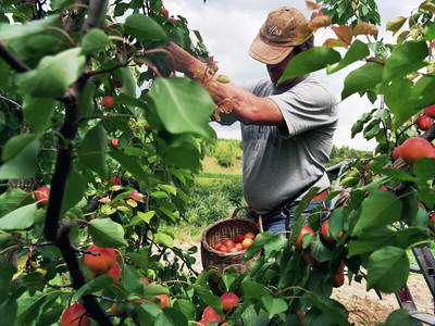 Bild 20 aus  Brunnenhof Hiss