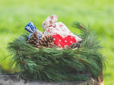 Bild 17 aus  Lärchhof