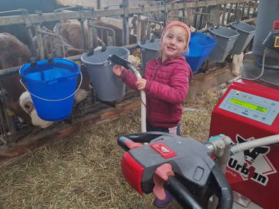 Bild 9 aus  Mojer Hof