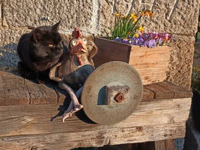 Bild 14 aus  Ferienhof Irlmühl