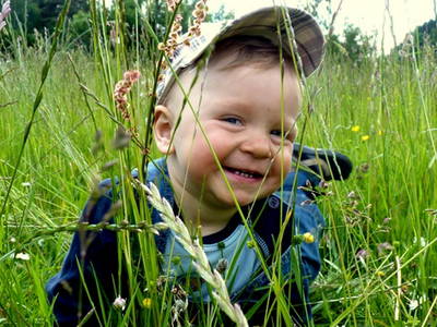 Bild 22 aus  Ferienhof Lochau