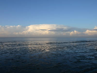 Bild 18 aus  Familie Itzenga "Hof am Turm"