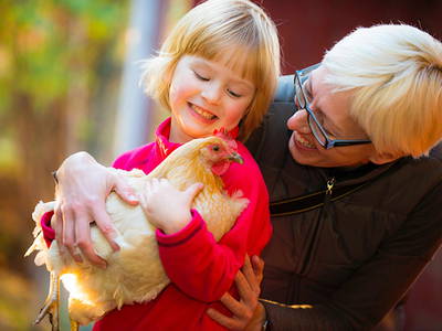 Bild 3 aus  Steigerwaldhof Krafft