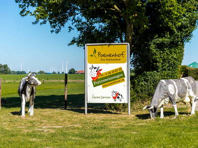 Bild 33 aus  Poenenhof