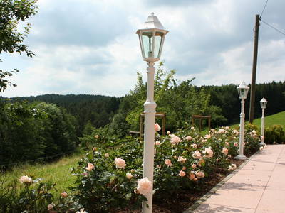 Bild 37 aus  Schlosshof - der Urlaubsbauernhof