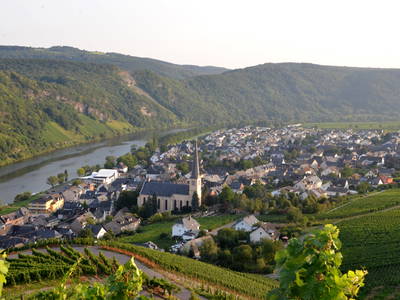 Bild 9 aus  Pension und Gutsweinschänke Müllers