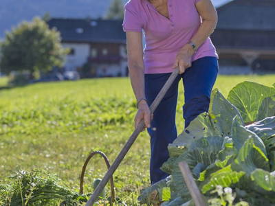 Bild 11 aus  Landhof - Familie Mairhofer