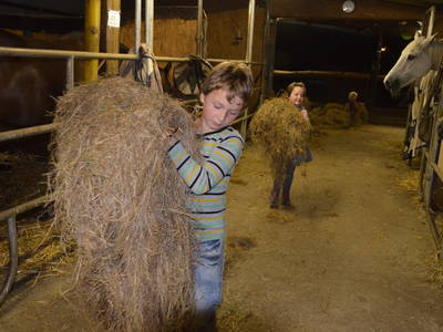 Bild 26 aus  Ferienhof Störwiese