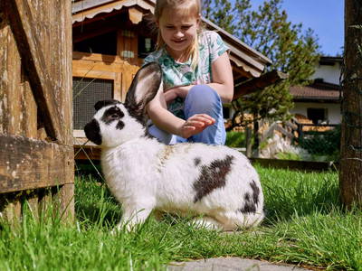 Bild 19 aus  Wiesenhäusl