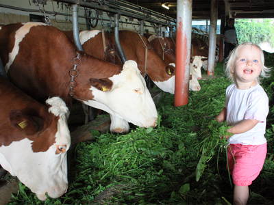 Bild 16 aus  Schlosshof - der Urlaubsbauernhof