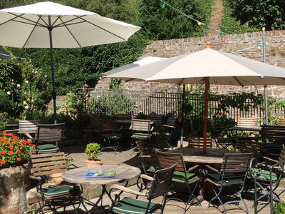 Bild 12 aus  Weingut Borchert, Springiersbacher Hof