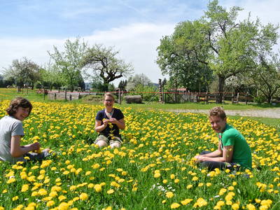 Bild 32 aus  Biohof Bilger