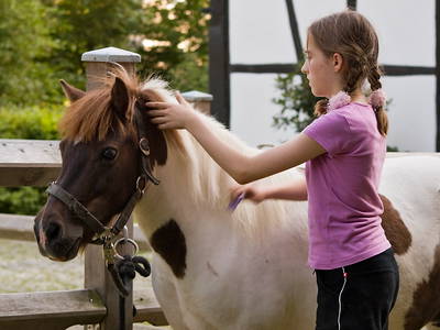 Bild 15 aus  Ferienhof Heuel