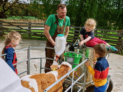 Bild 6 aus  Lohner-Hof