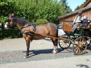 Bild 8 aus  Landhaus Wehmhoff