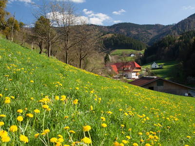 Bild 5 aus  Schätzlehof