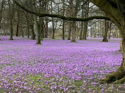 Bild 33 aus  Nordseefewo Lämmerblick