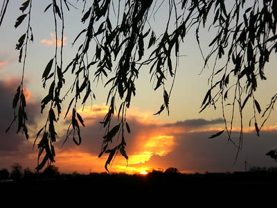 Bild 16 aus  Katrin's Ferienhof