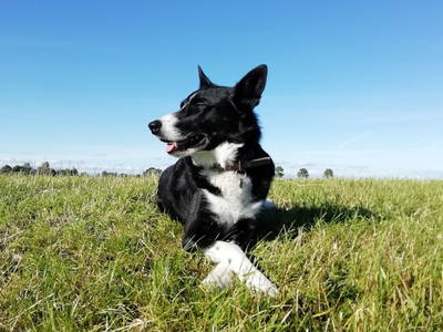 Bild 5 aus  Ferienhof Blocksberg