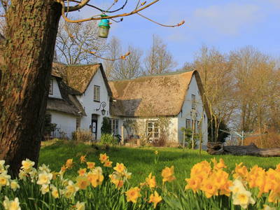 Bild 2 aus  Hamkenshof