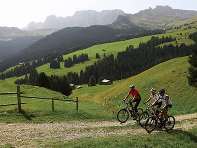 Bild 22 aus  Pristinger Hof