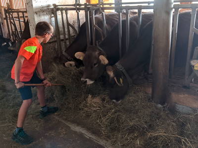 Bild 14 aus  Ratscheinerhof